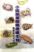 本中心承辦計畫策畫(另開新視窗)