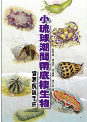 本中心承辦計畫策畫(另開新視窗)